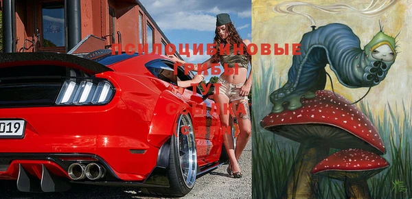 трава Богородицк