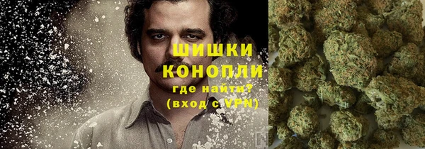 трава Богородицк