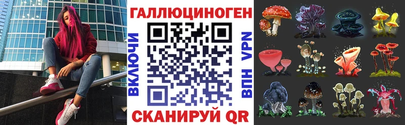 Псилоцибиновые грибы Psilocybe  Улан-Удэ 